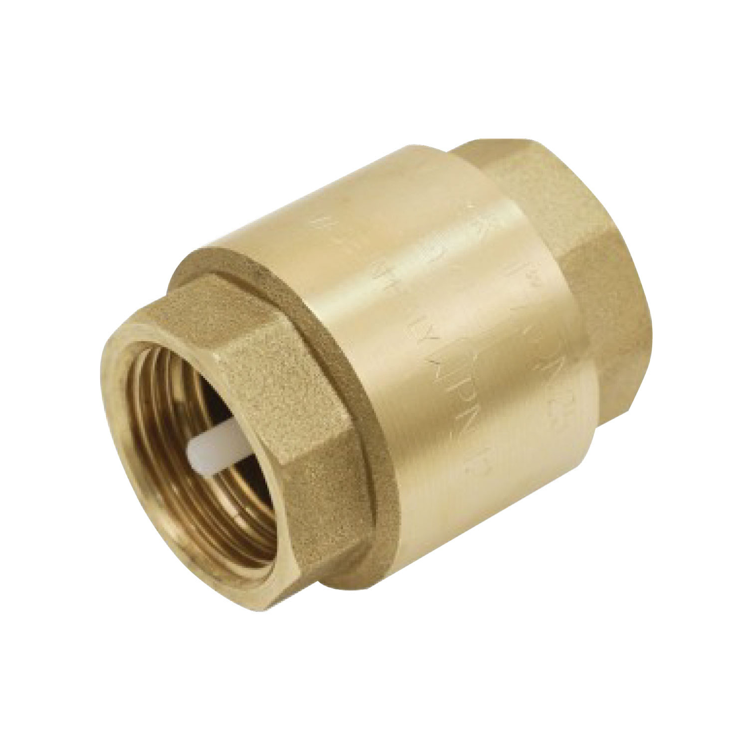 Clapet Anti Retour 3"