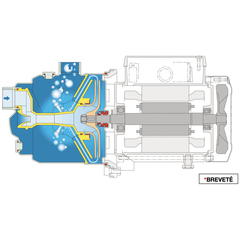 Pompe à eau auto amorçante Calpeda NGX - Inox 4,5 m3/h 220V - Pompe de surface auto-amorçante