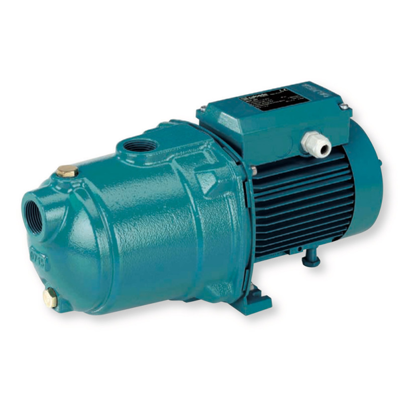 Pompe de surface autoamorçante Calpeda NGL - Fonte 4,8 m3/h 220V - Pompe pour jardin auto amorçante