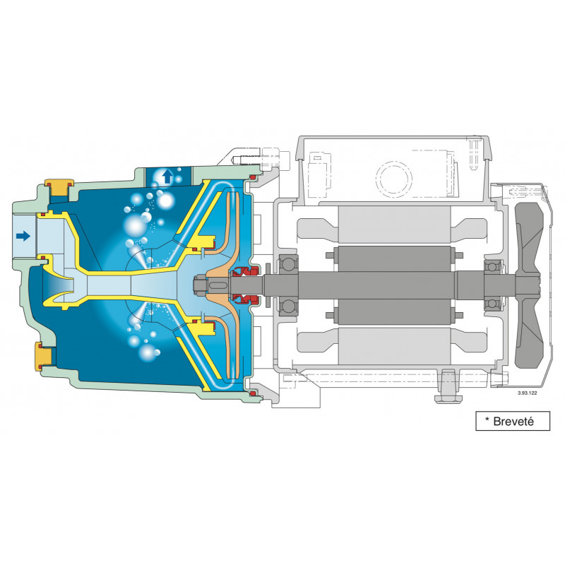 Pompe de surface autoamorçante Calpeda NGL - Fonte 4,8 m3/h 220V - Pompe pour jardin auto amorçante