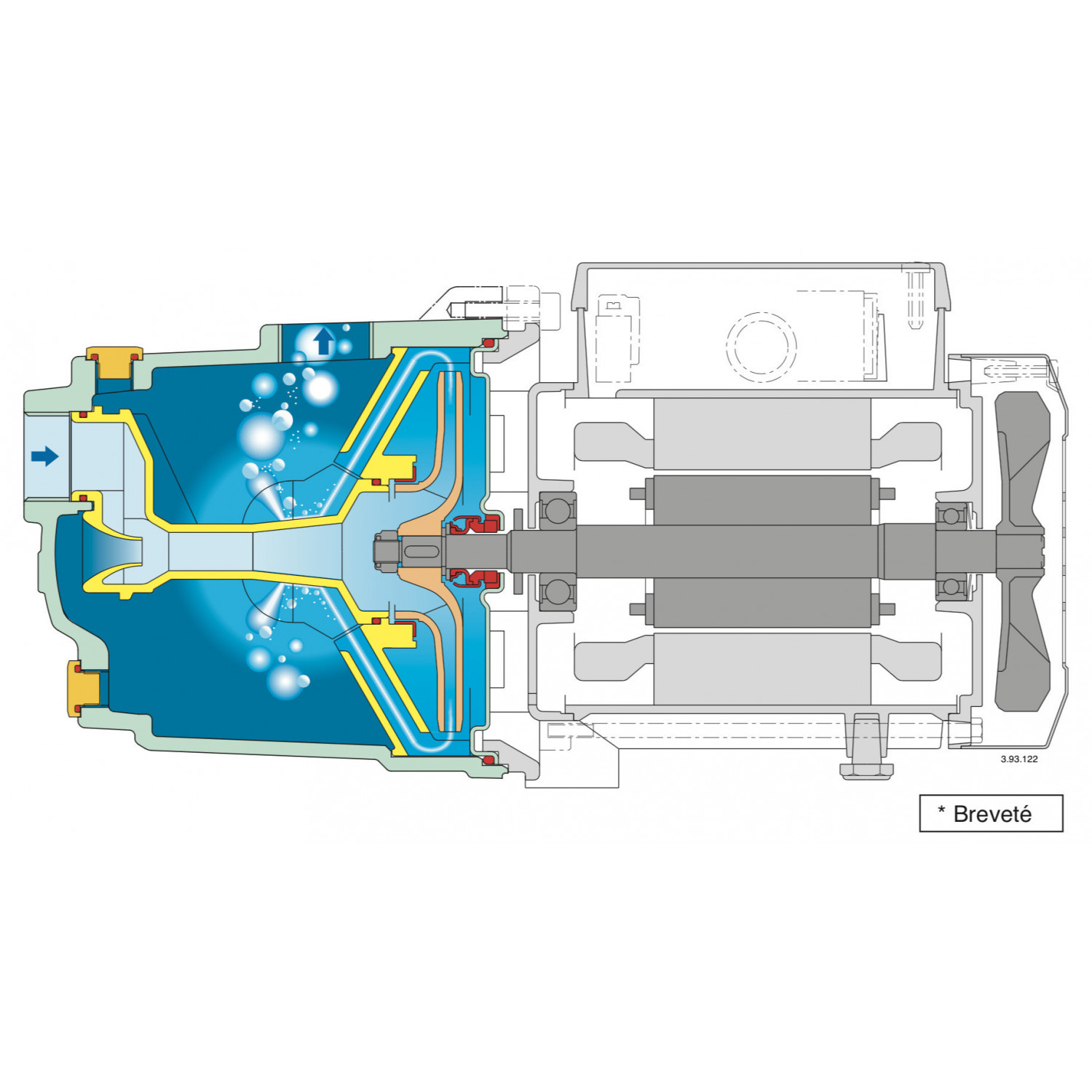 Pompe de surface autoamorçante Calpeda NGL - Fonte 4,8 m3/h 220V - Pompe pour jardin auto amorçante
