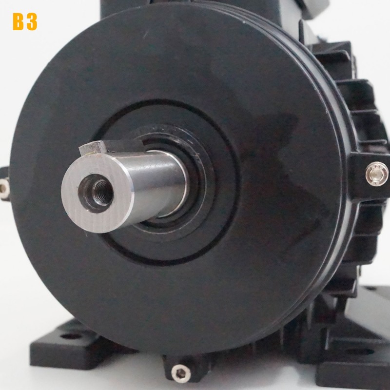Moteur électrique 220V 0,25 kW 3000 tr/min Double Condensateur CEMER ML - Bride B3