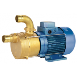 Pompe de transfert laiton - ECC 24-20 24V 0,22KW