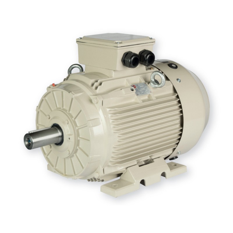 Moteur électrique triphasé 230/400V 3 kW 1500 tr/min - ST3100LX4B3 Fonte Bride B3