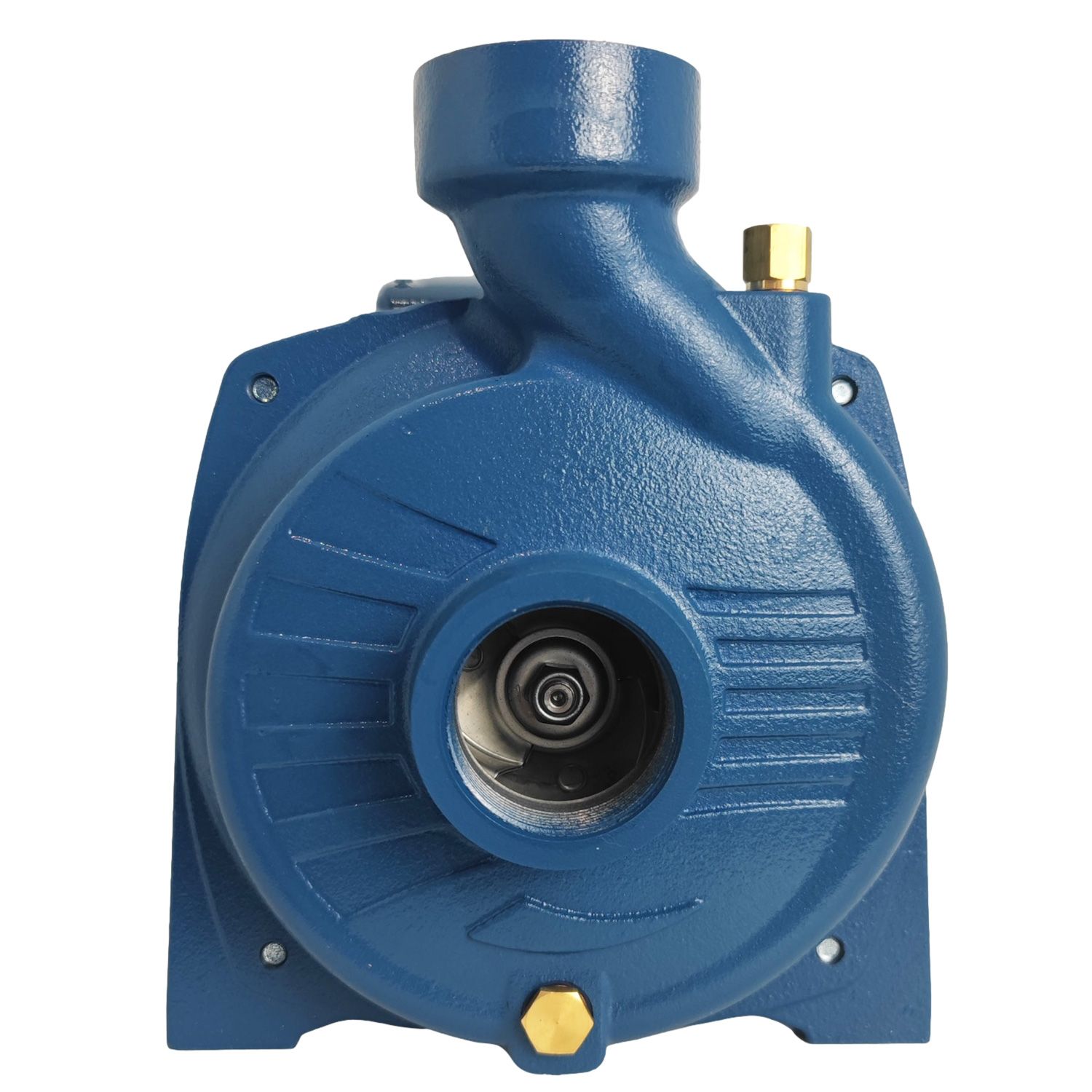 Pompe de surface à roue ouverte 230V - 0.75Kw