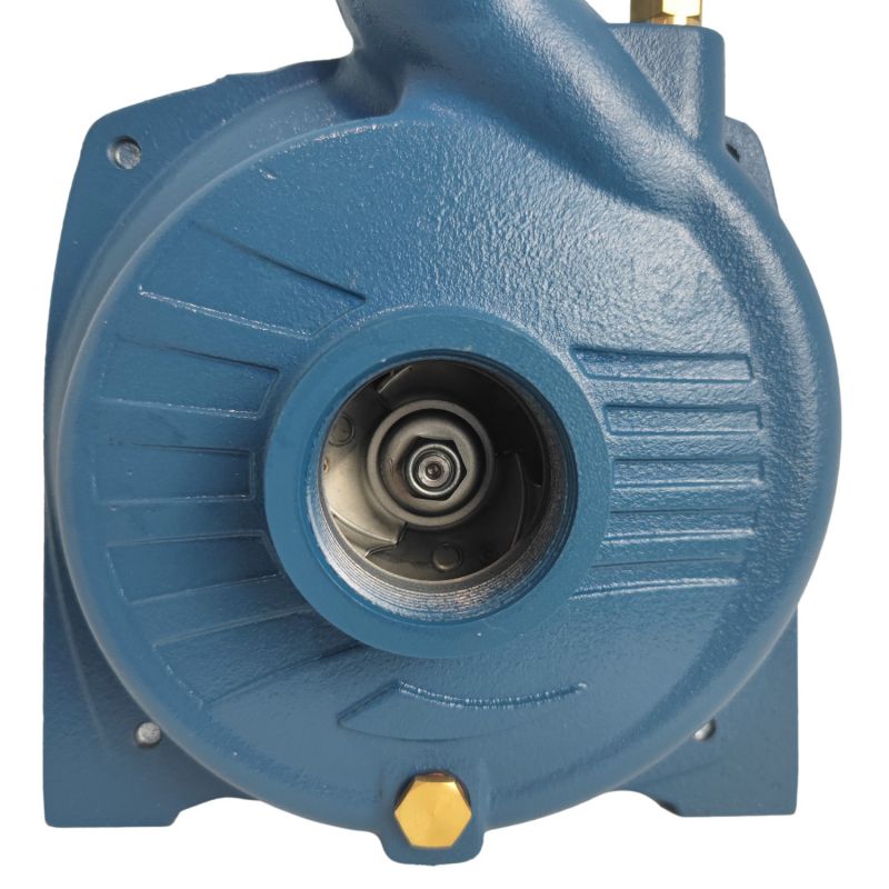 Pompe de surface à roue ouverte 230V - 0.75Kw
