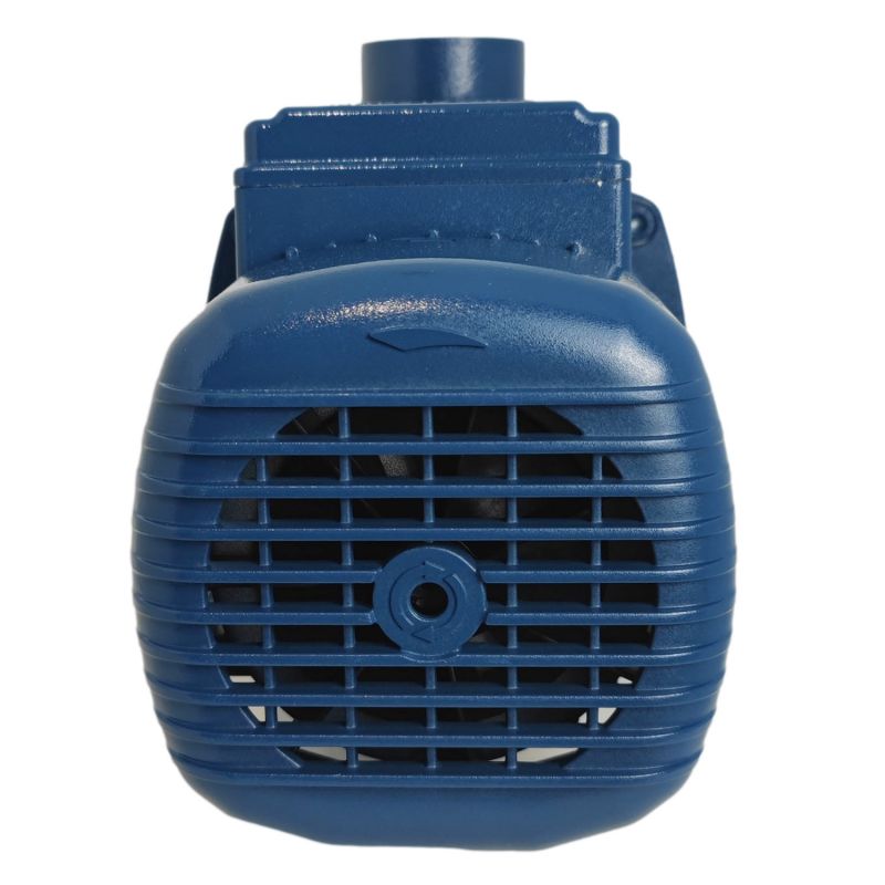 Pompe de surface à roue ouverte 230V - 0.75Kw