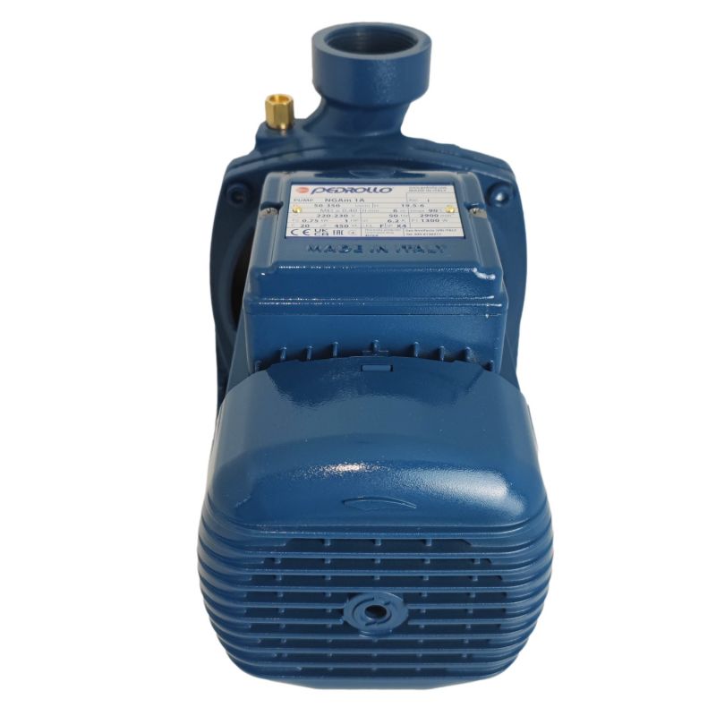 Pompe de surface à roue ouverte 230V - 0.75Kw