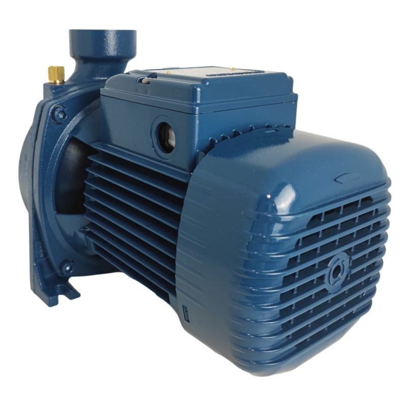 Pompe de surface à roue ouverte 230V - 0.75Kw