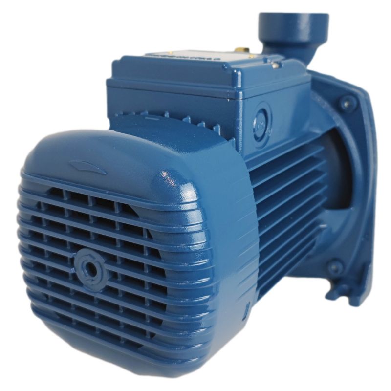 Pompe de surface à roue ouverte 230V - 0.75Kw