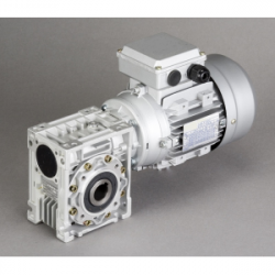 Motoréducteur à roue et vis
