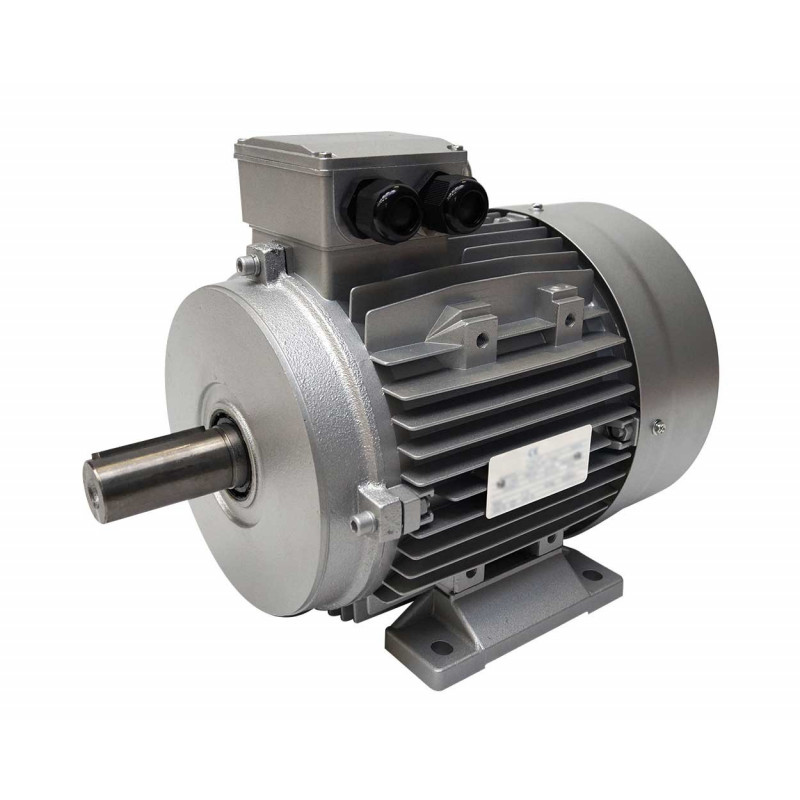 Moteur électrique 400/700V, 18.5Kw, 1500 tr/mn