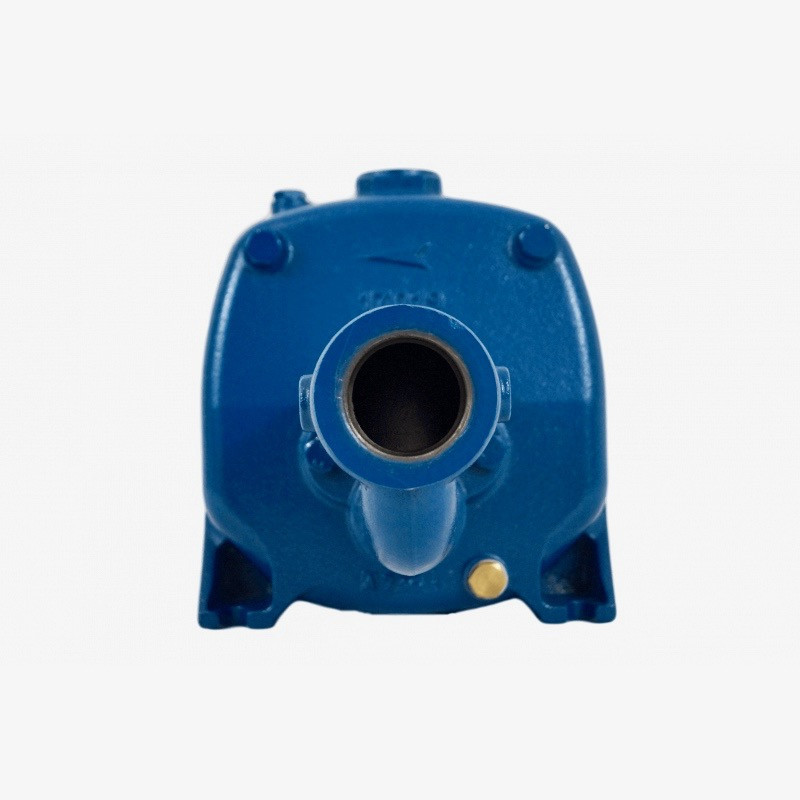 Pompe serie JET 230V 1.1Kw/1.5cv