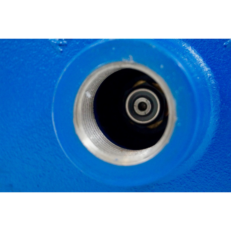 Pompe centrifuge 230V 0.75Kw/1cv Noryl - Gros débit