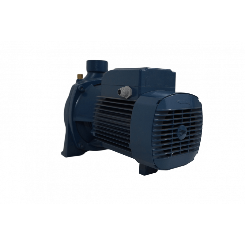 Pompe de surface centrifuge 230V - 0.75kW - 2"