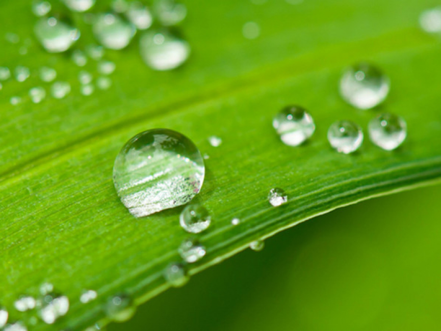 Installer une cuve eau pluie : une alternative écologique et économique