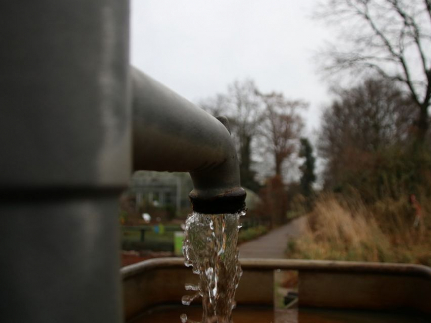 Pourquoi ma pompe de surface ne s’amorce pas ?